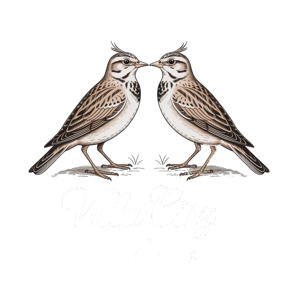 Villa Cisza Logo